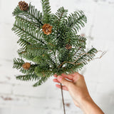 Pine Stem