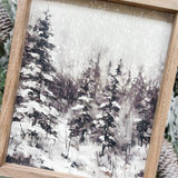 Snowy Pines Bw - 8x10