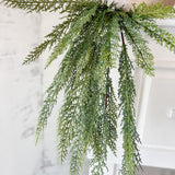 Pine Hanging Vine