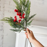 16" Cedar with red berry stem