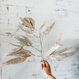 Eucalyptus Leaf Spray