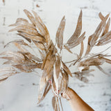 Eucalyptus Leaf Spray