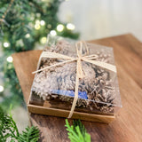 Pine Cones In Box