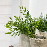 Mini Bamboo Leaf Pick