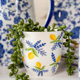 3.5" Ceramic Citrus Pot
