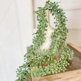 Pink Hanging Succulent Berry