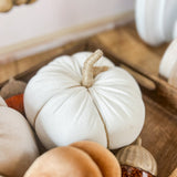 White Pumpkin