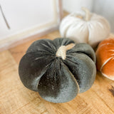 Black Velvet Pumpkin