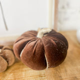 Walnut Pumpkin