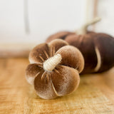 Small Pecan Pumpkin