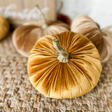 7.5" Velvet Pumpkins