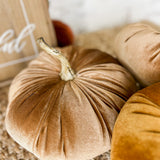 10" Beige Velvet Pumpkin