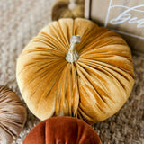 10" Pale Orange Velvet Pumpkins