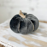 Black Pumpkin