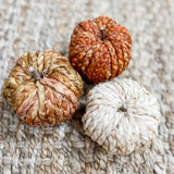 Braided Pumpkins