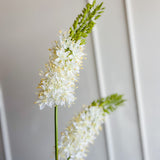35" Cream Eremurus Spray