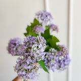 Lavender Snowball Bundle