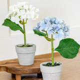 Hydrangea Drop-In Pot -- 7"