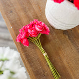 10" Ranunculus Bundle