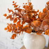 Autumn Eucalyptus Bush