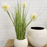 24" Potted Dandelion Grass