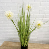 24" Potted Dandelion Grass