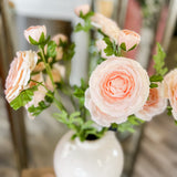 25" Peach Ranunculus Stem