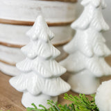 Small White Gloss Tree