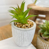 Succulent Pot