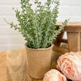 Dusty Stems in Paper Pot