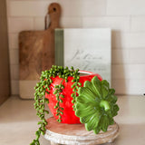 Ceramic Strawberry Jar