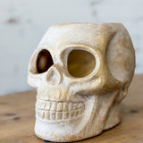 5.5" Gold Wash Ceramic Skull