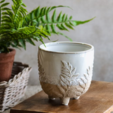 Fern Pattern Planter