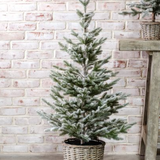 47" Snowy Tree In Basket