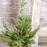28" Tree With Jute Base