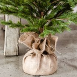 20" Tree With Jute Base