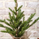20" Tree With Jute Base