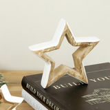Enamelware Star