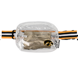 Clear Stadium Bag
