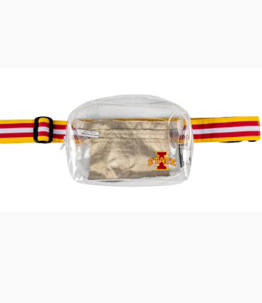 Clear Stadium Bag