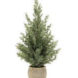 23" Potted Mini Pine Tree