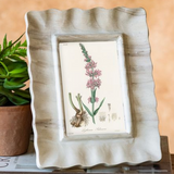 4 x 6" Capri Beige Marble Photo Frame