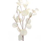 34" Eucalyptus Spray