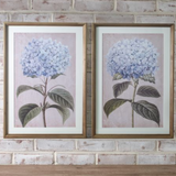 2 Asst Hydrangea Print Wall Art