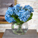 Mini Hydrangea In Vase