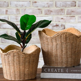 Basket Weave Cement Planters
