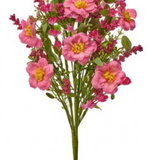 18" Summer Primula Spray