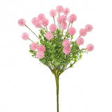 15" Gomphrena Bush