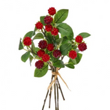 11" Wild Raspberry Bundle