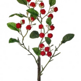 22" Wild Raspberry Spray